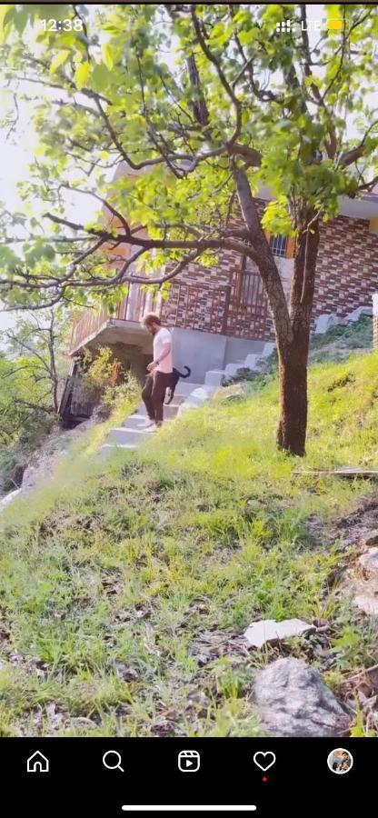 Survival In Forest, Tirthan Valley Bandal Exterior foto