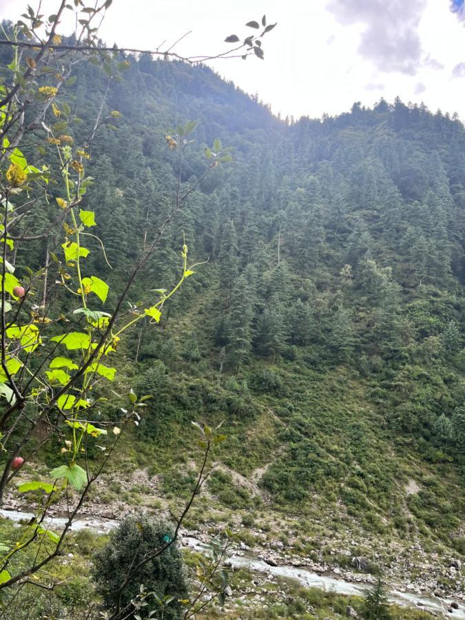 Survival In Forest, Tirthan Valley Bandal Exterior foto